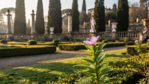 Equinozio di primavera 2026: la pianta che i giardinieri del Giardino di Boboli piantano solo in questa settimana precisa dell’anno